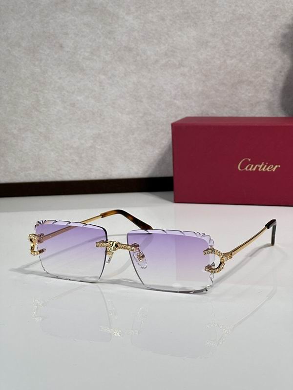 Cartier Glasses smr70